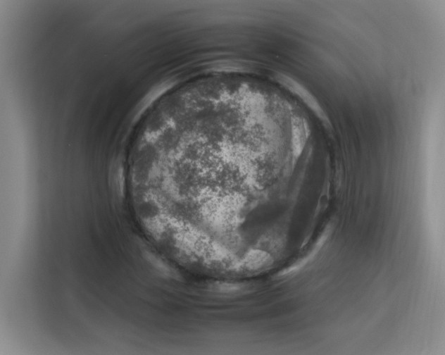 X0000113640829200910091535