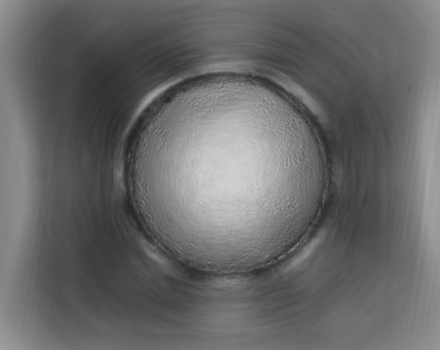 X0000113640830200910091535