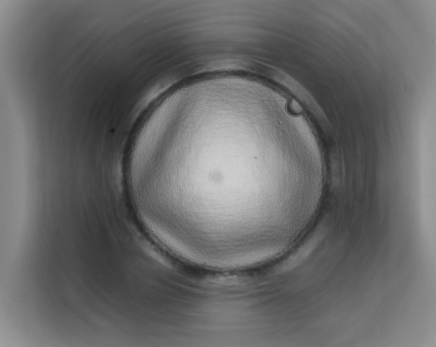 X0000113640834200910091535