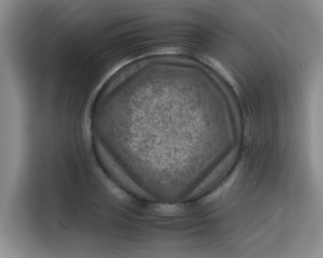 X0000113640835200910091535