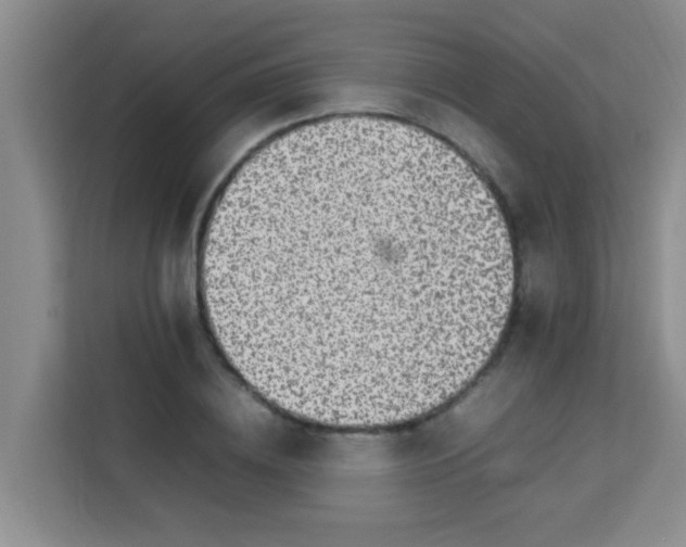 X0000113640836200910091535