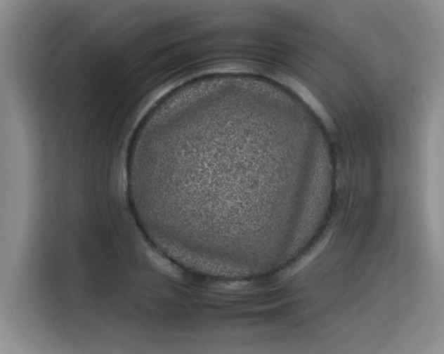 X0000113640837200910091535