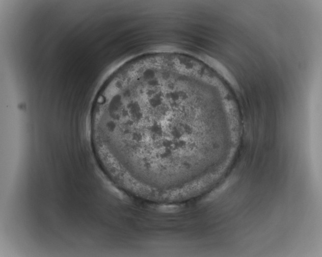 X0000113640839200910091535