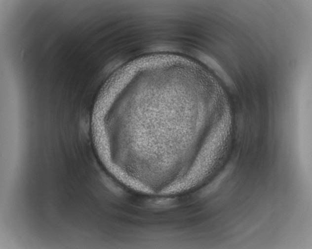 X0000113640841200910091535