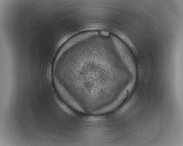 X0000113640842200910091535