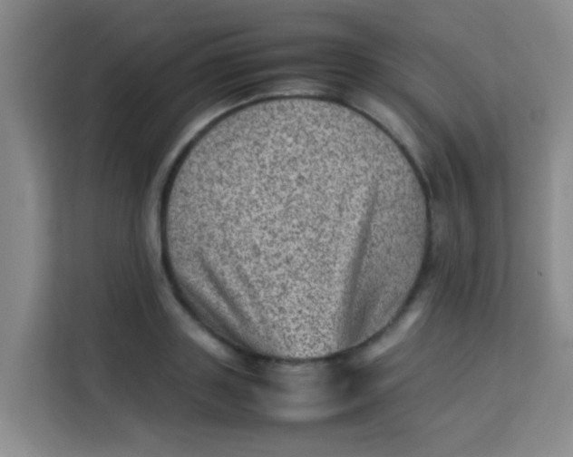 X0000113640843200910091535