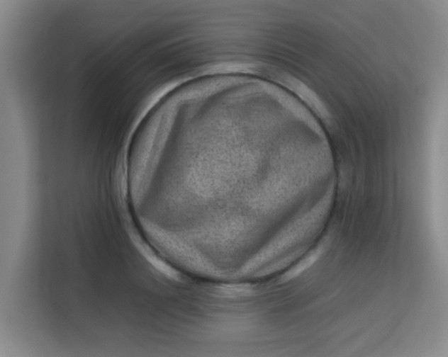 X0000113640844200910091535