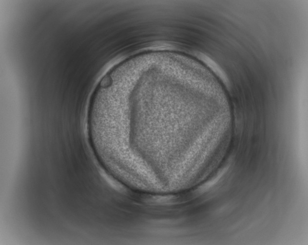 X0000113640845200910091535