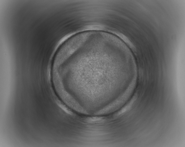 X0000113640846200910091535