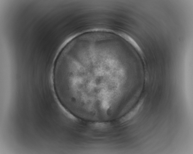 X0000113640847200910091535