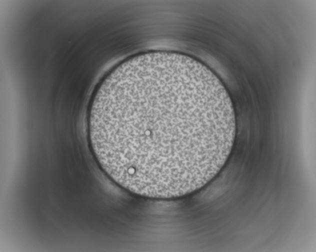 X0000113640848200910091535