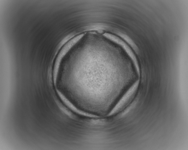 X0000113640850200910091535