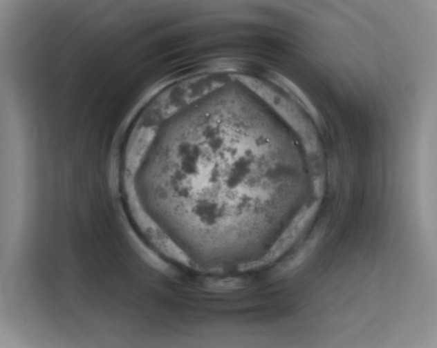 X0000113640851200910091535