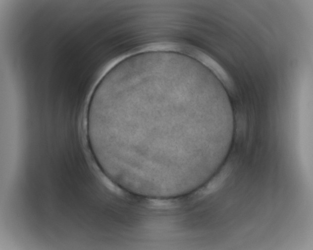 X0000113640852200910091535