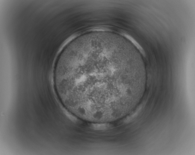 X0000113640853200910091535