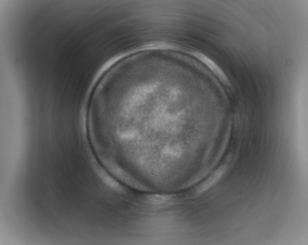 X0000113640854200910091535