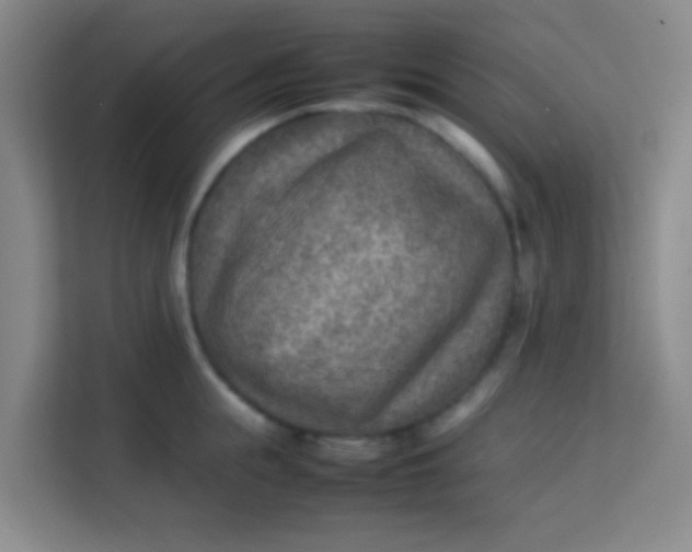 X0000113640855200910091535