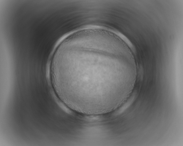 X0000113640862200910091535