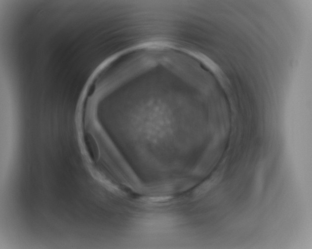 X0000113640864200910091535