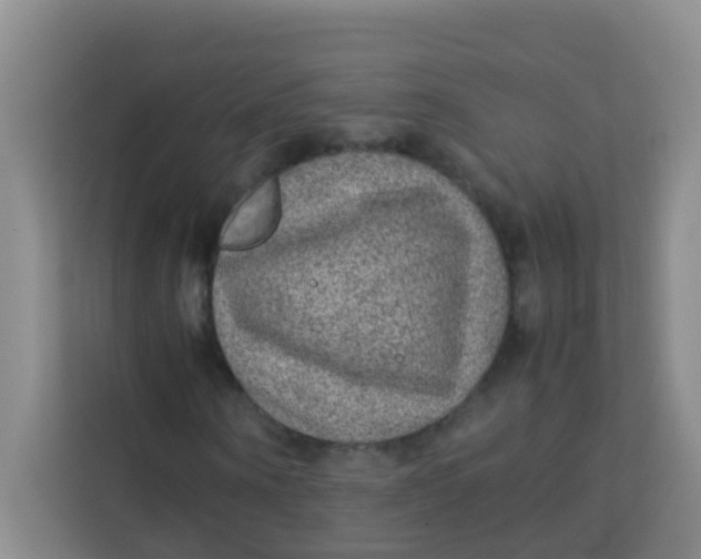 X0000113640866200910091535