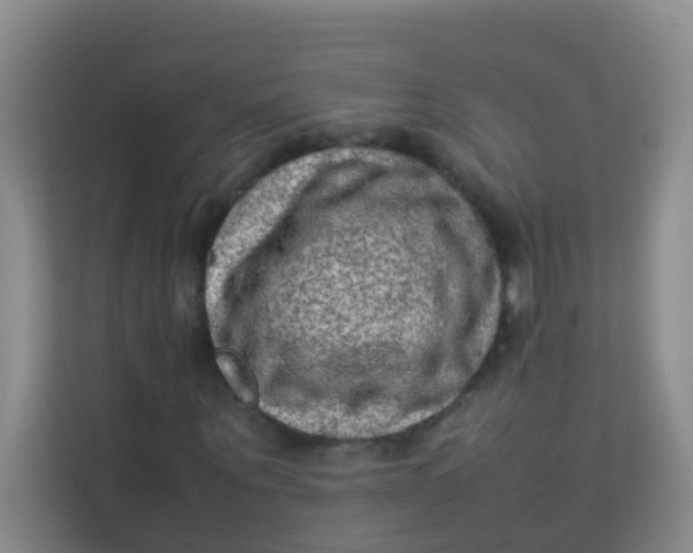 X0000113640867200910091535