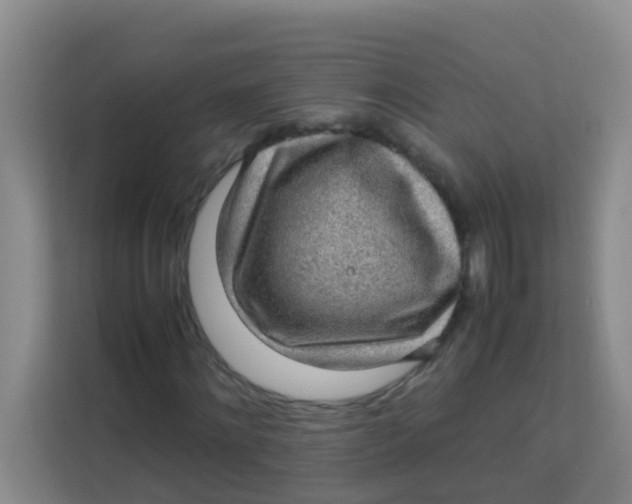 X0000113640868200910091535