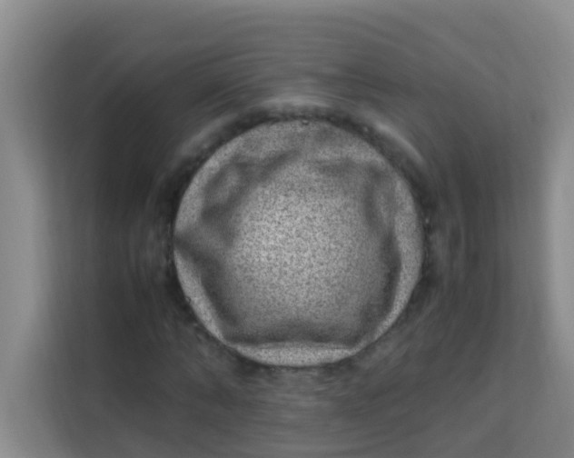 X0000113640870200910091535