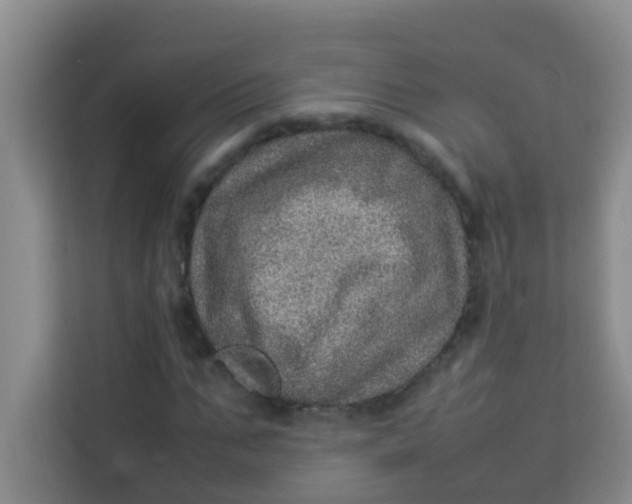 X0000113640871200910091535