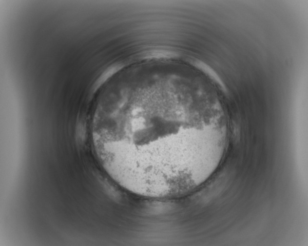 X0000113640874200910091535