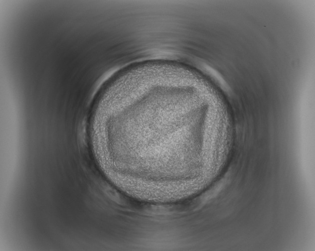 X0000113640875200910091535