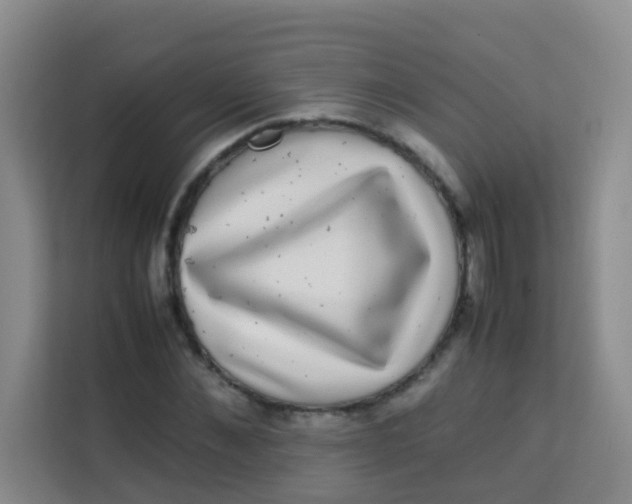 X0000113640876200910091535