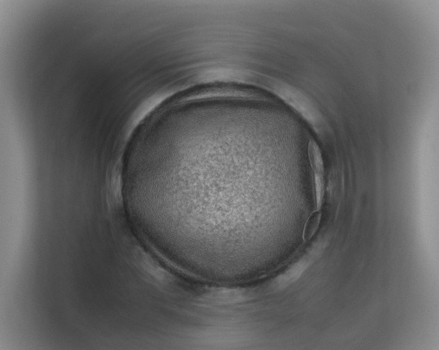 X0000113640877200910091534