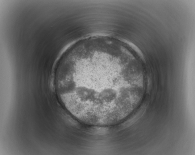 X0000113640878200910091534