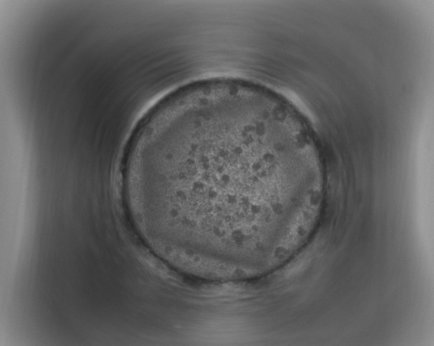 X0000113640879200910091534