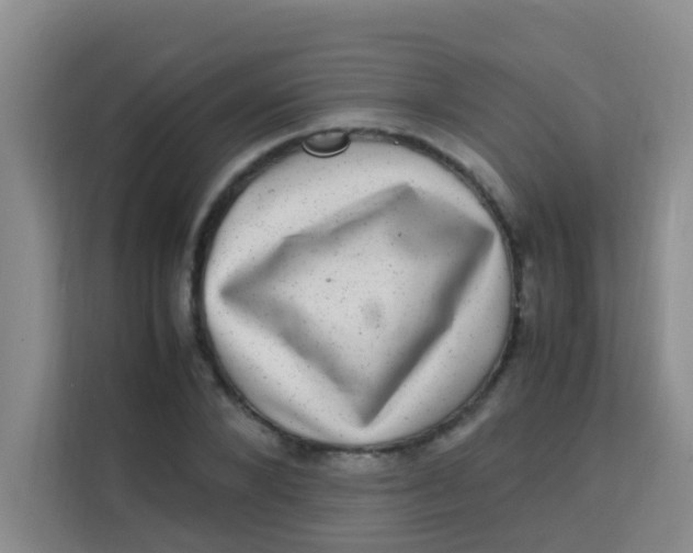 X0000113640880200910091534