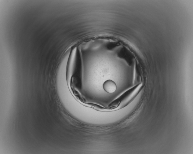 X0000113640881200910091534