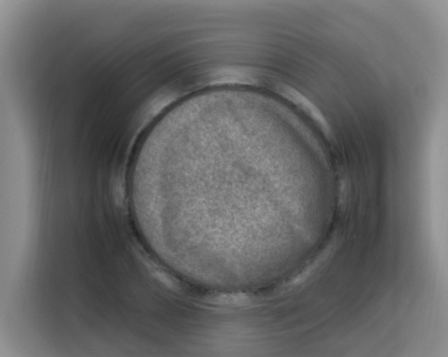 X0000113640882200910091534