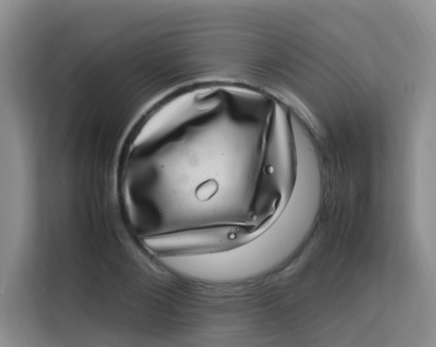 X0000113640884200910091534