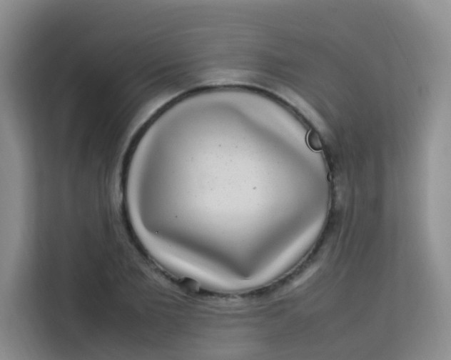 X0000113640885200910091534