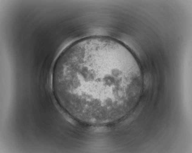 X0000113640886200910091534