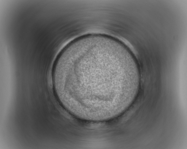 X0000113640887200910091534