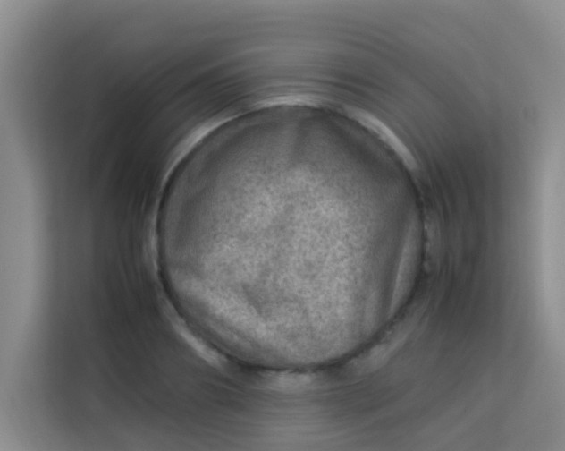 X0000113640890200910091534