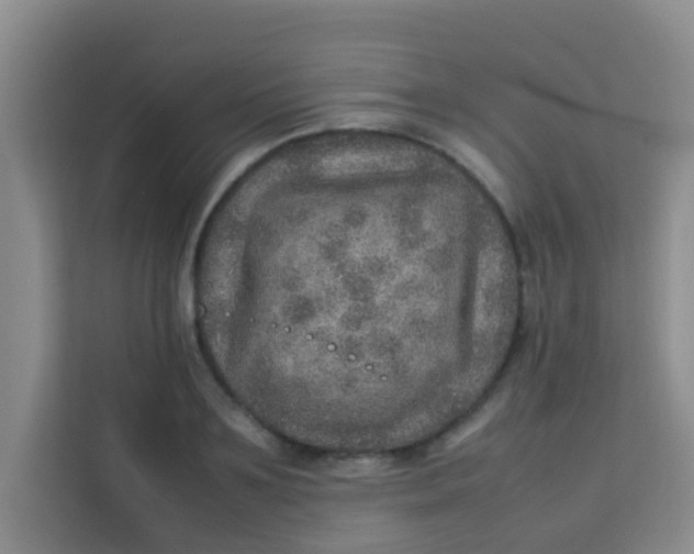 X0000113640891200910091534