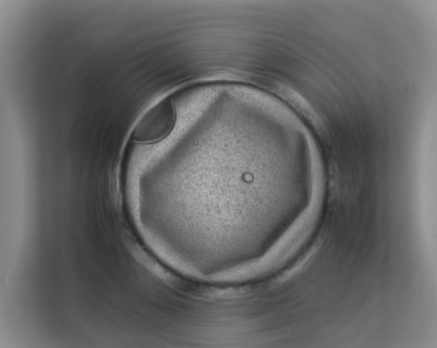 X0000113640892200910091534