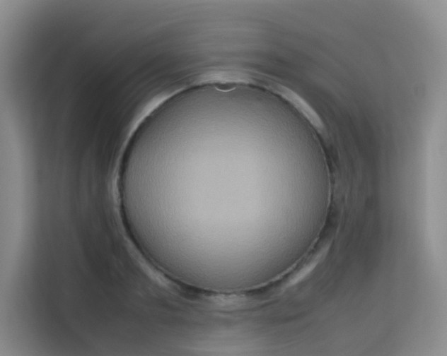 X0000113640893200910091534