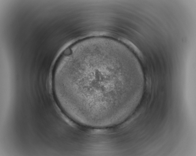 X0000113640894200910091534