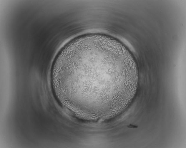 X0000113640895200910091534