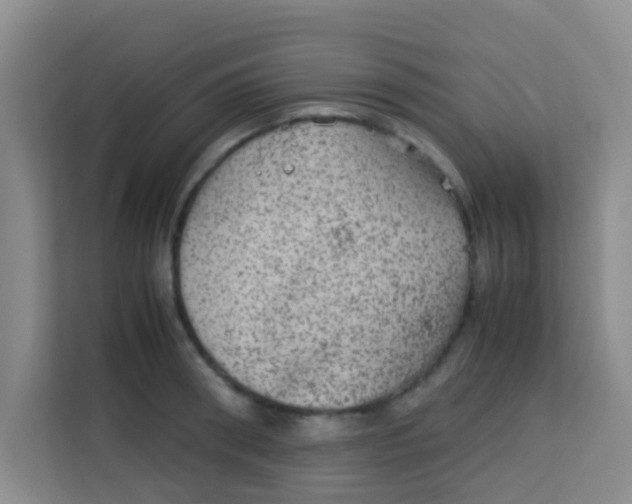 X0000113640898200910091534