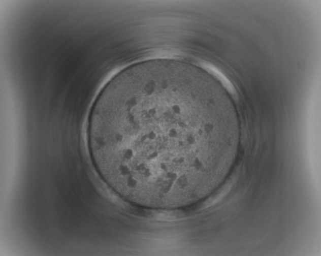 X0000113640899200910091534