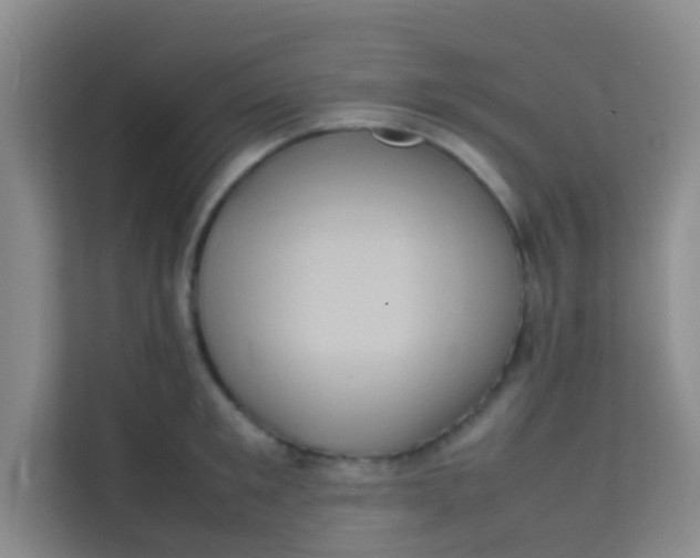 X0000113640901200910091534